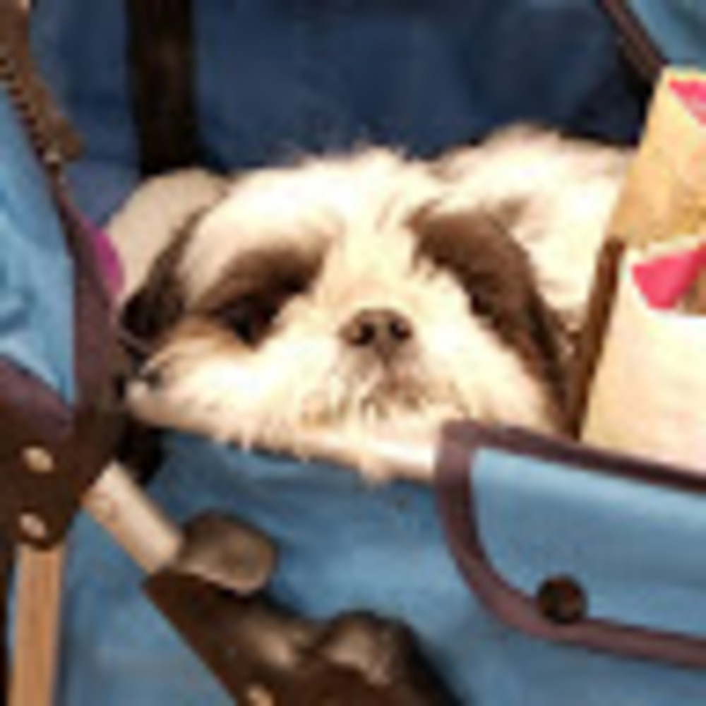 Meet your Posher, Mel